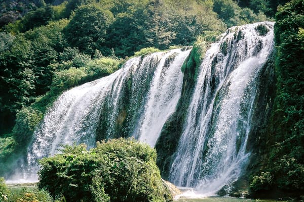 From Open Source to “Open Washing”