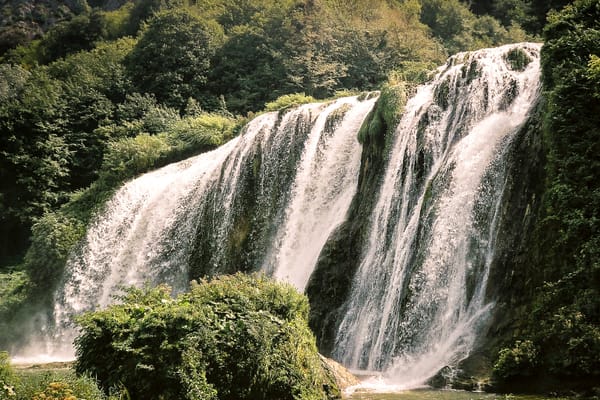 From Open Source to “Open Washing”